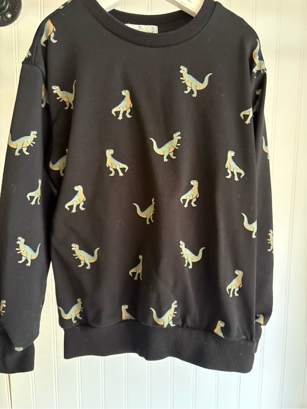ORGANIC COTTON MILES THE LABEL 4Y ✨ kids dinosaur crewneck black VGUC